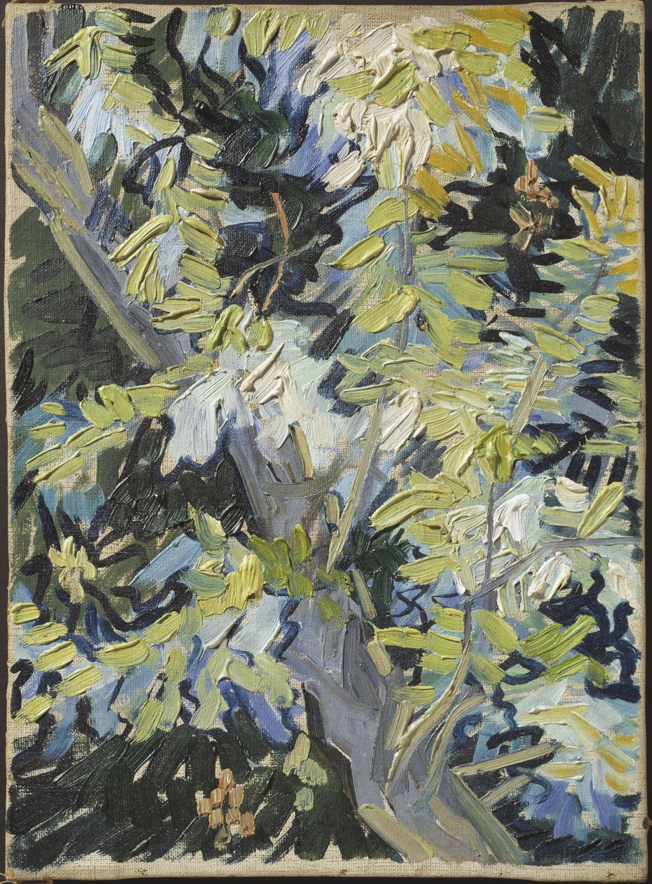 Acacia in fiore da Vincent van Gogh