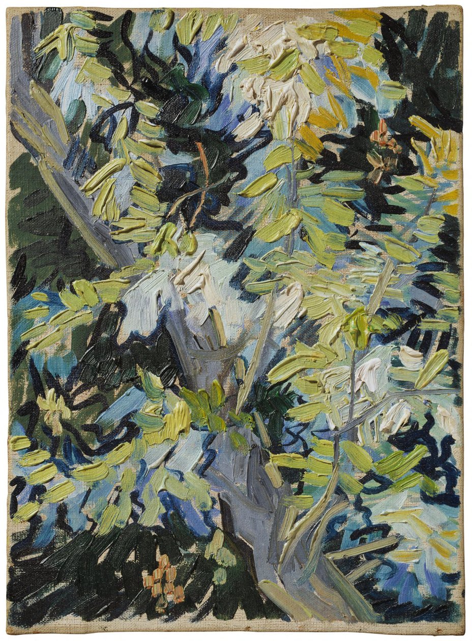 Acacia in fiore da Vincent van Gogh
