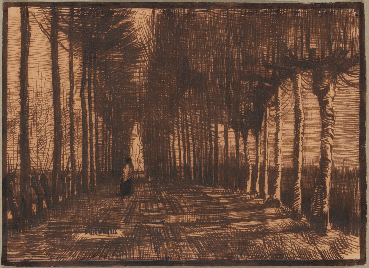 Viale delle betulle e dei pioppi di Pollard da Vincent van Gogh