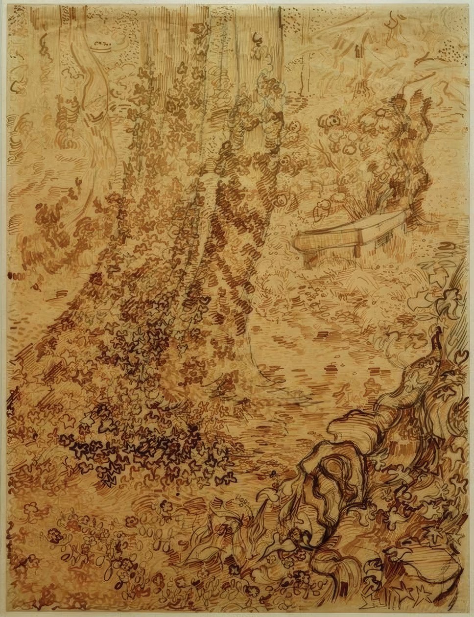 Alberi con edera nel giardino del sanatorio da Vincent van Gogh