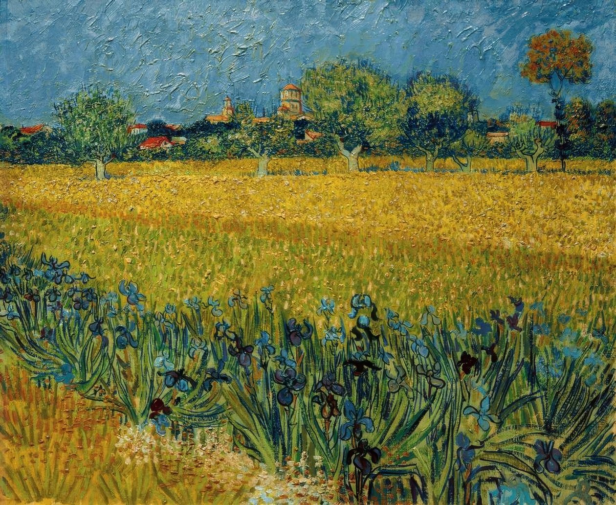 Vista di Arles con iris in primo piano da Vincent van Gogh