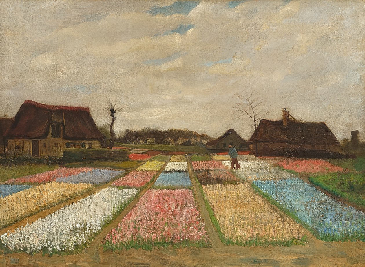 Aiuole di fiori in Olanda da Vincent van Gogh
