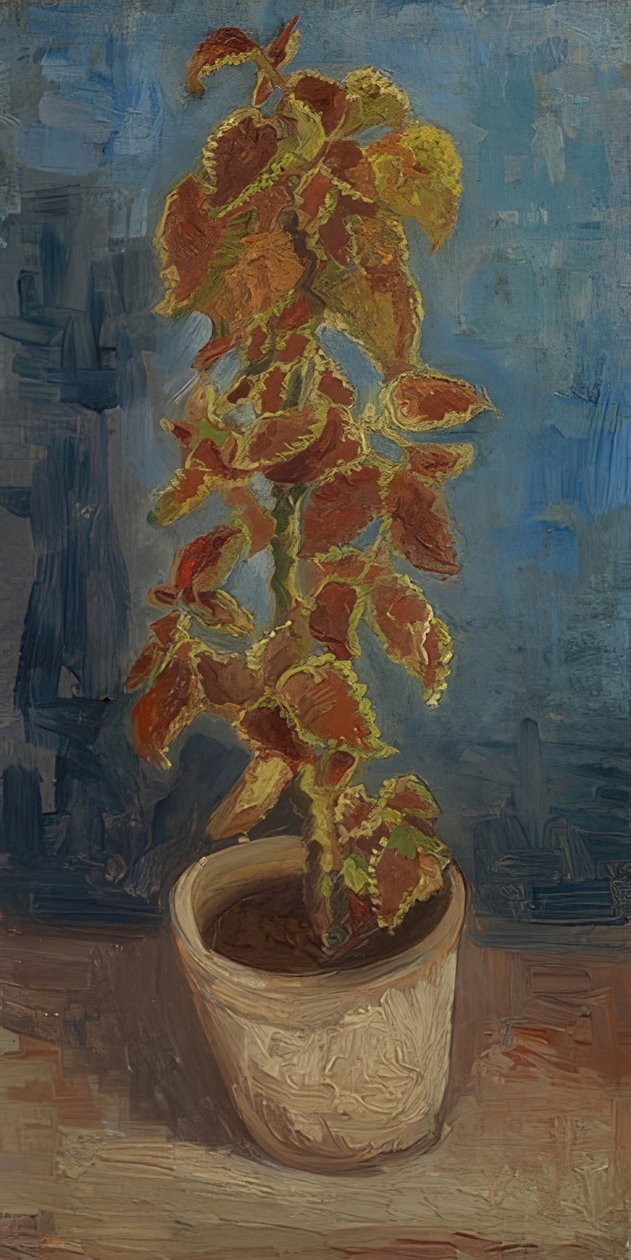 Vaso di fiori con coleus da Vincent van Gogh