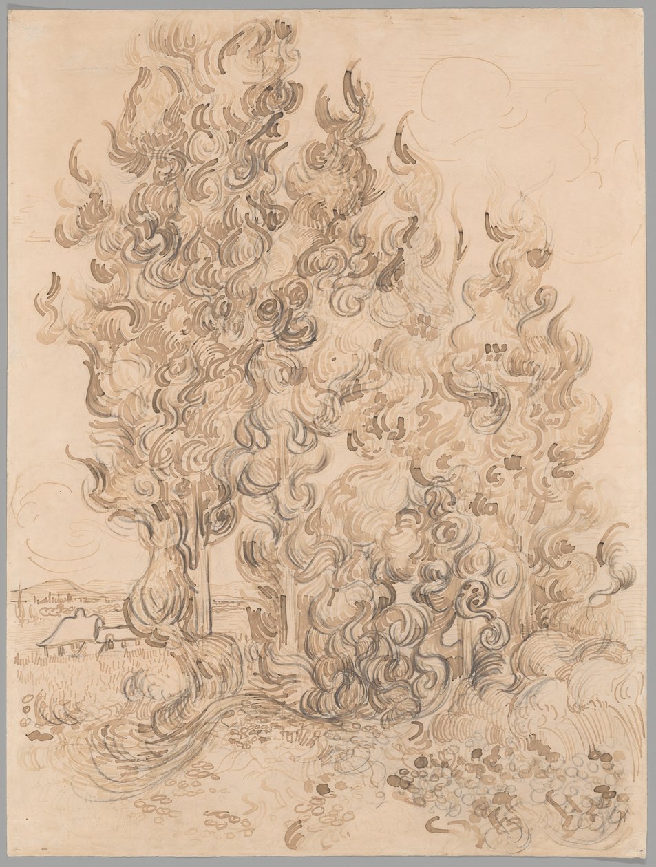 Cipressi da Vincent van Gogh