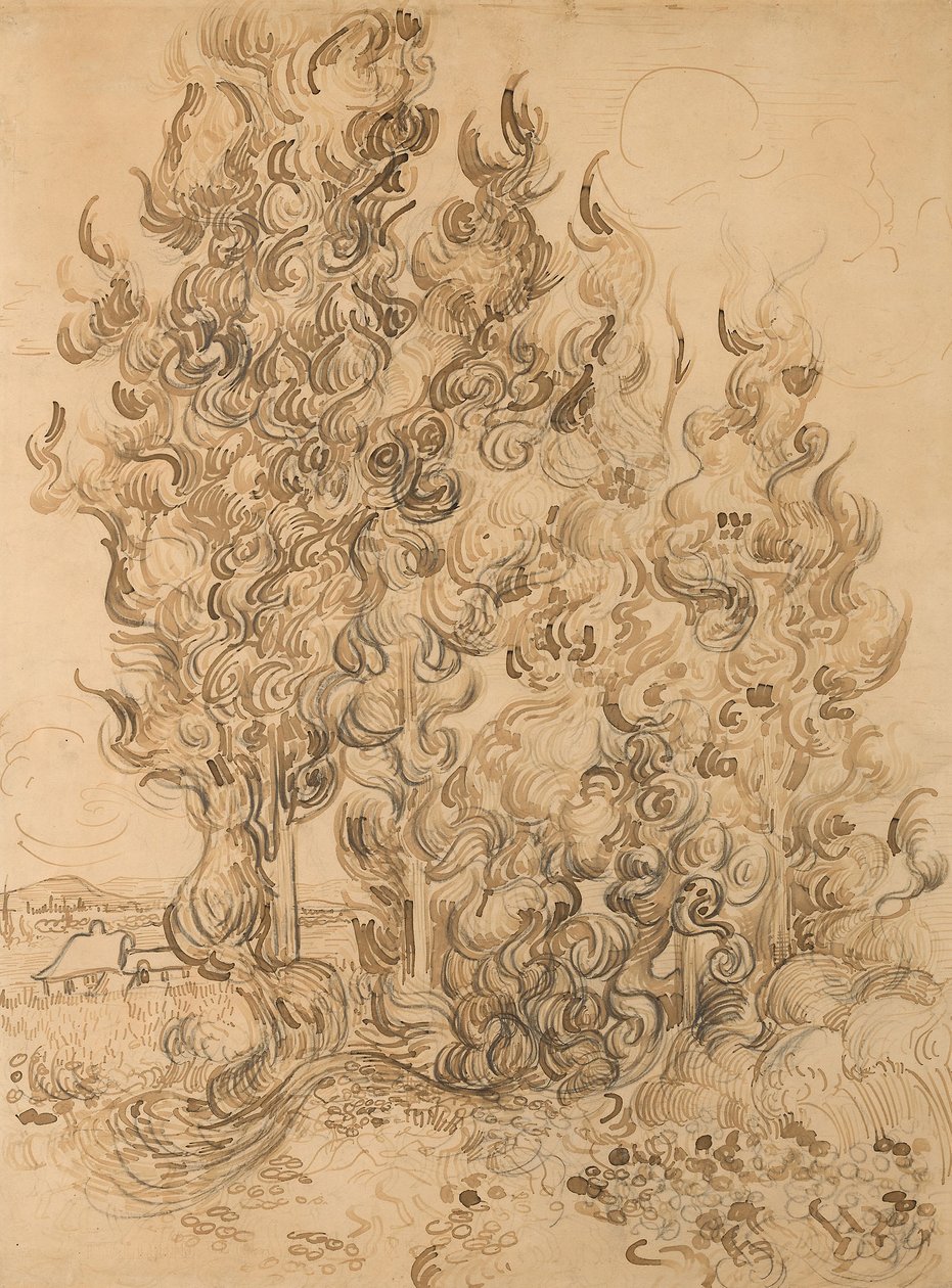Cipressi da Vincent van Gogh