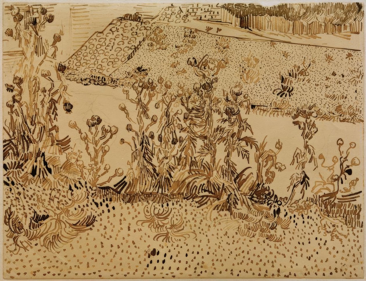 Cardi sul ciglio della strada da Vincent van Gogh