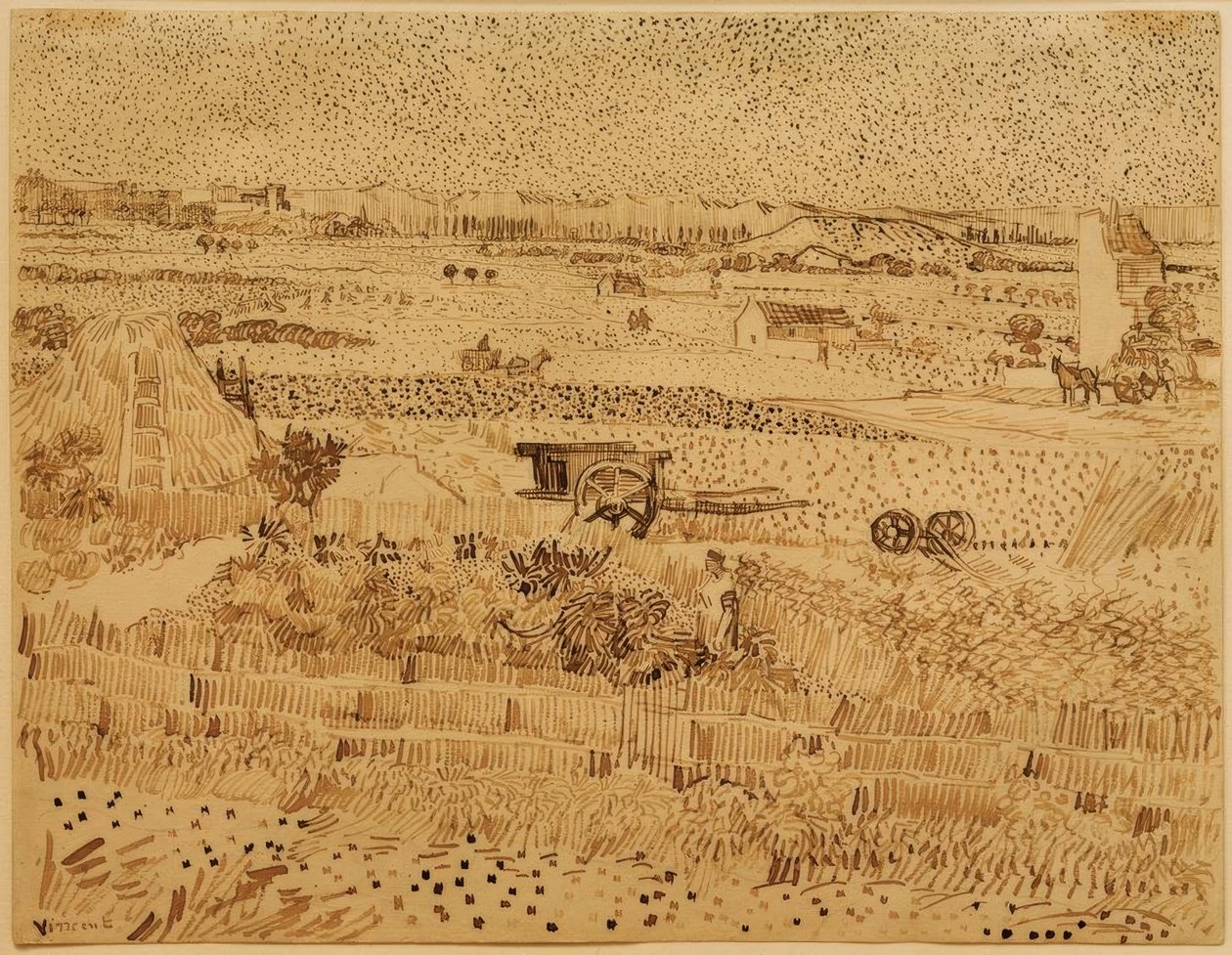 Raccolto in Provenza da Vincent van Gogh