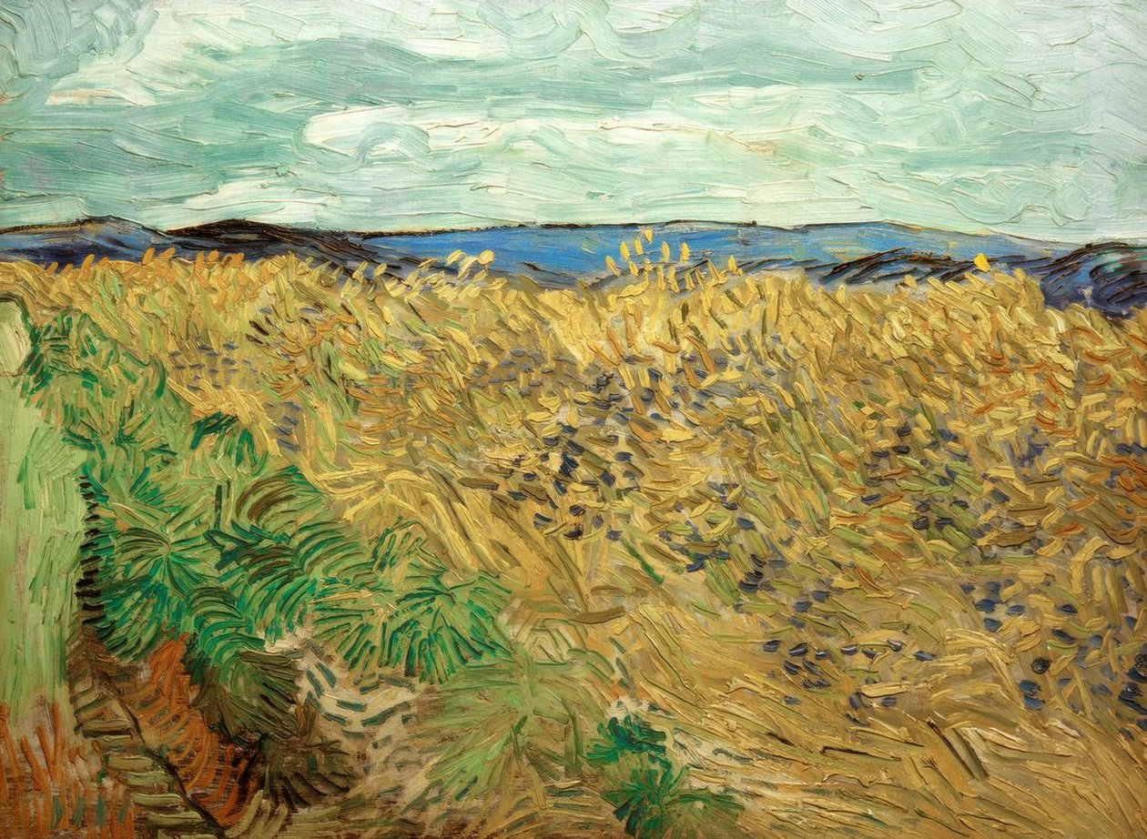 Campo, con fiordalisi da Vincent van Gogh