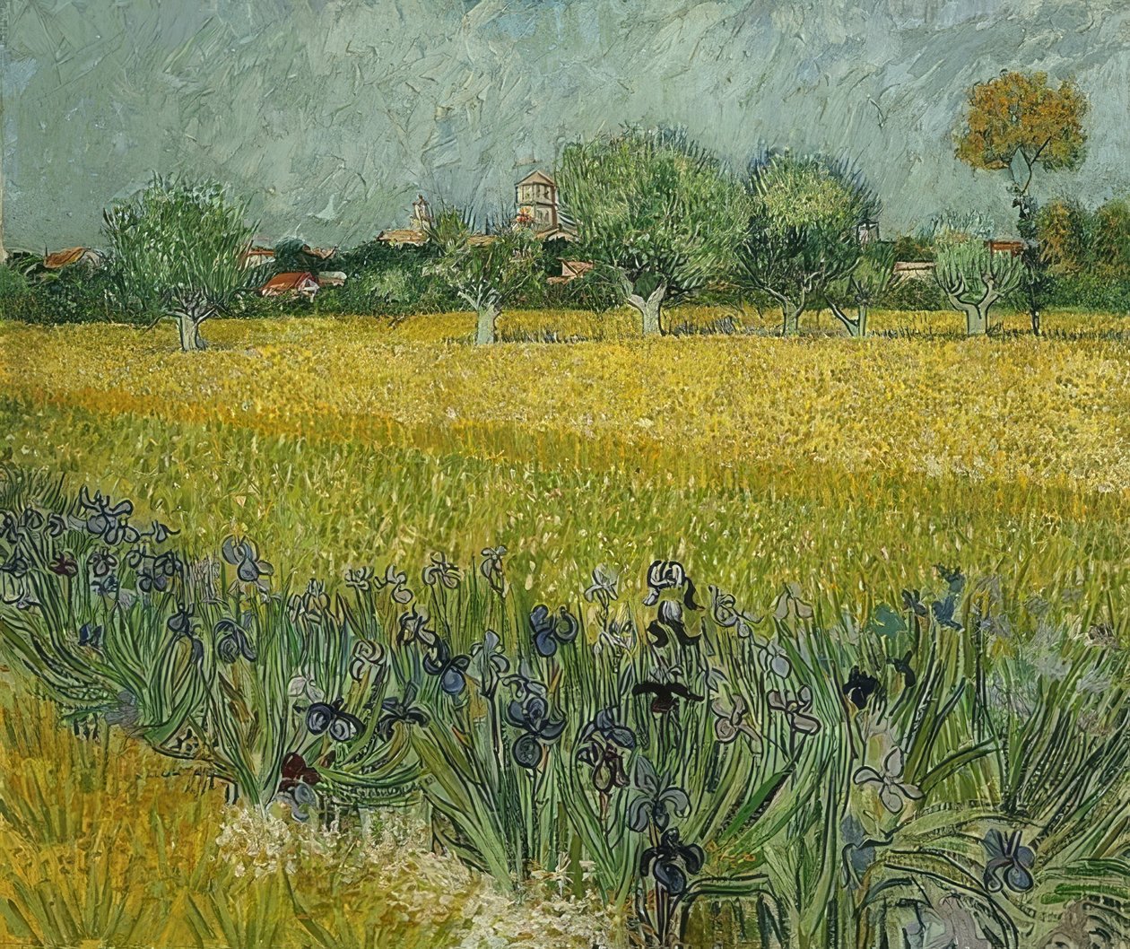 Campo con iris vicino ad Arles da Vincent van Gogh