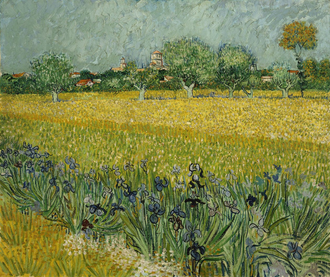 Campo con fiori presso Arles da Vincent van Gogh