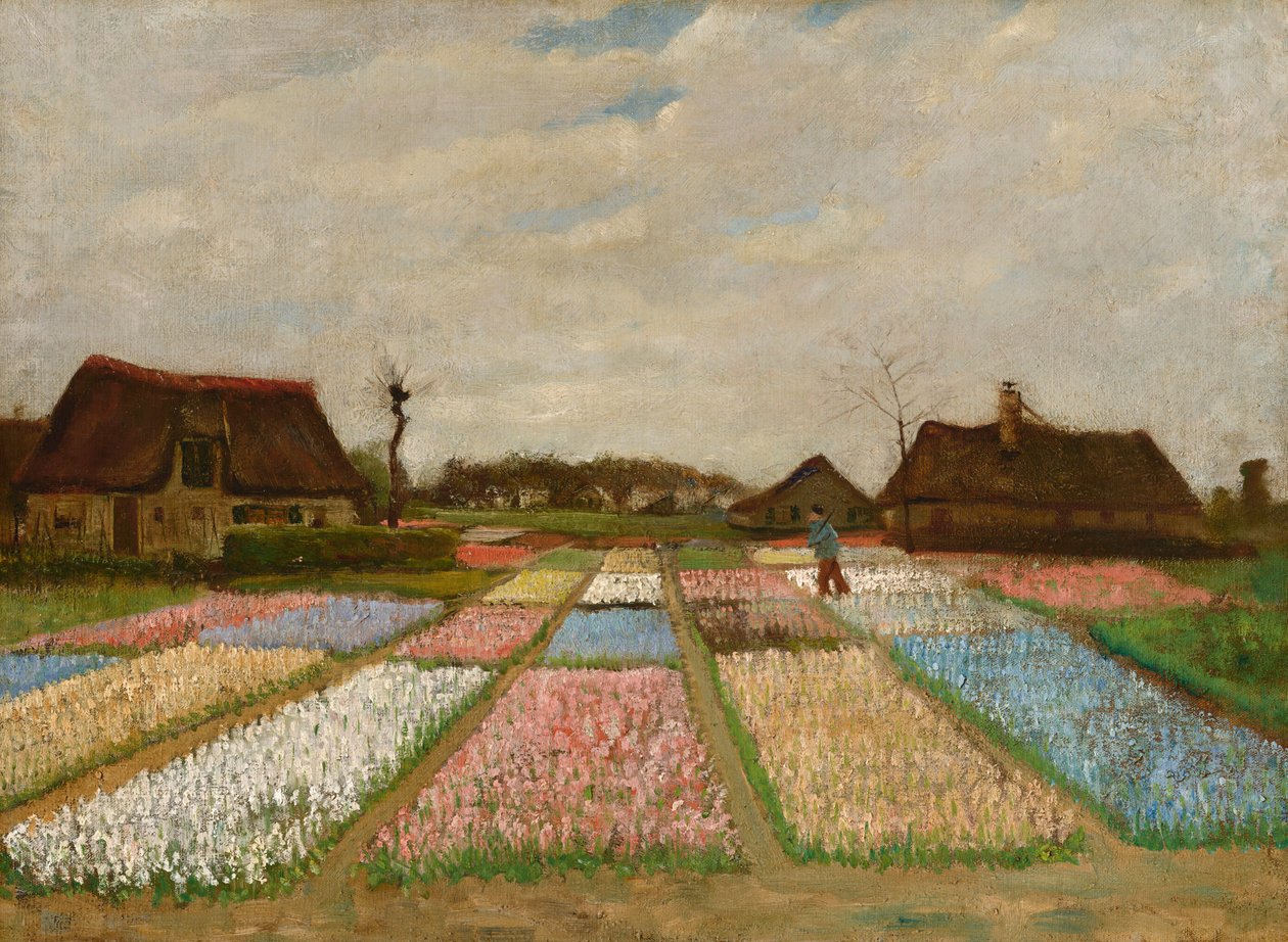Aiuole fiorite in Olanda da Vincent van Gogh