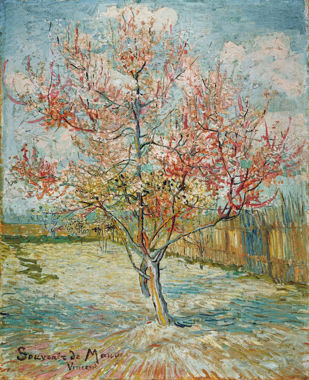 Pesco in fiore da Vincent van Gogh
