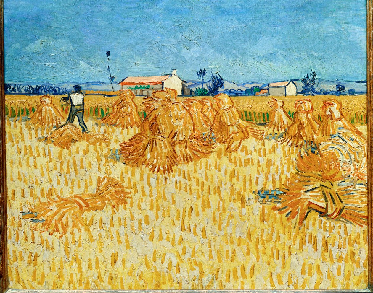 Vendemmia in Provenza, giugno 1888 (olio su tela) da Vincent van Gogh
