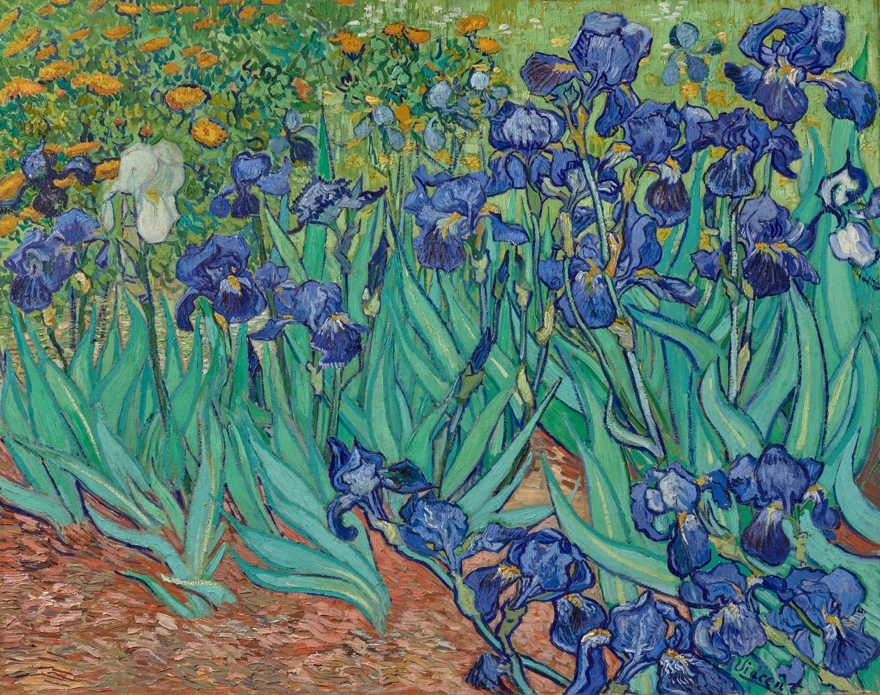 Iris da Vincent van Gogh