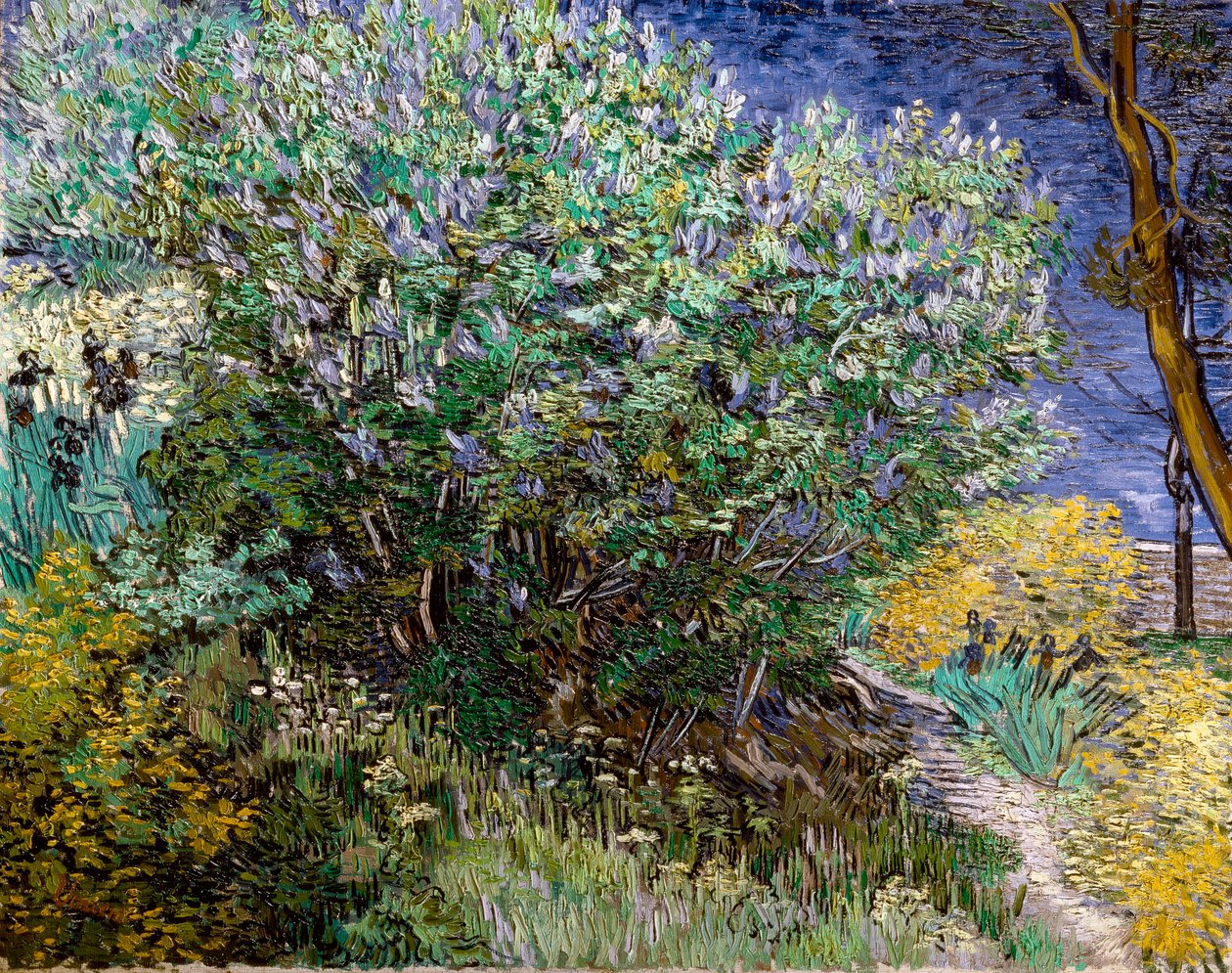 Il cespuglio di lillà da Vincent van Gogh