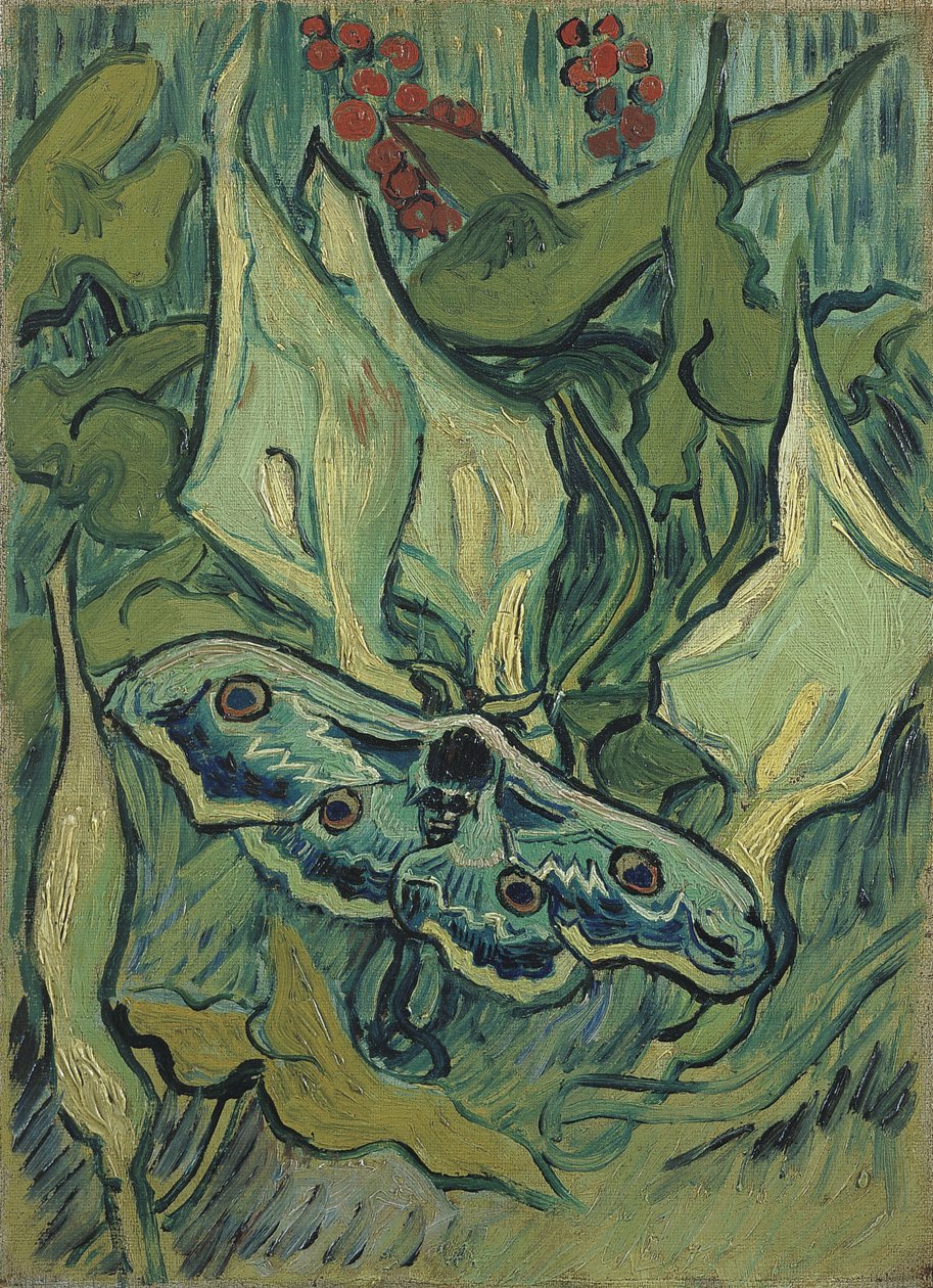 Il grande pavone verde (sfinge testa di morto) da Vincent van Gogh
