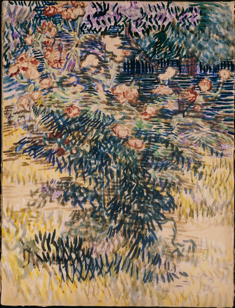 Oleandri, il Giardino dell
