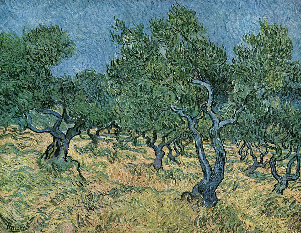 Uliveto da Vincent van Gogh