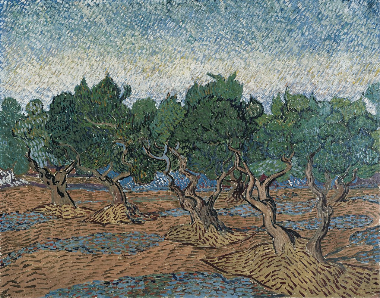 Uliveto da Vincent van Gogh