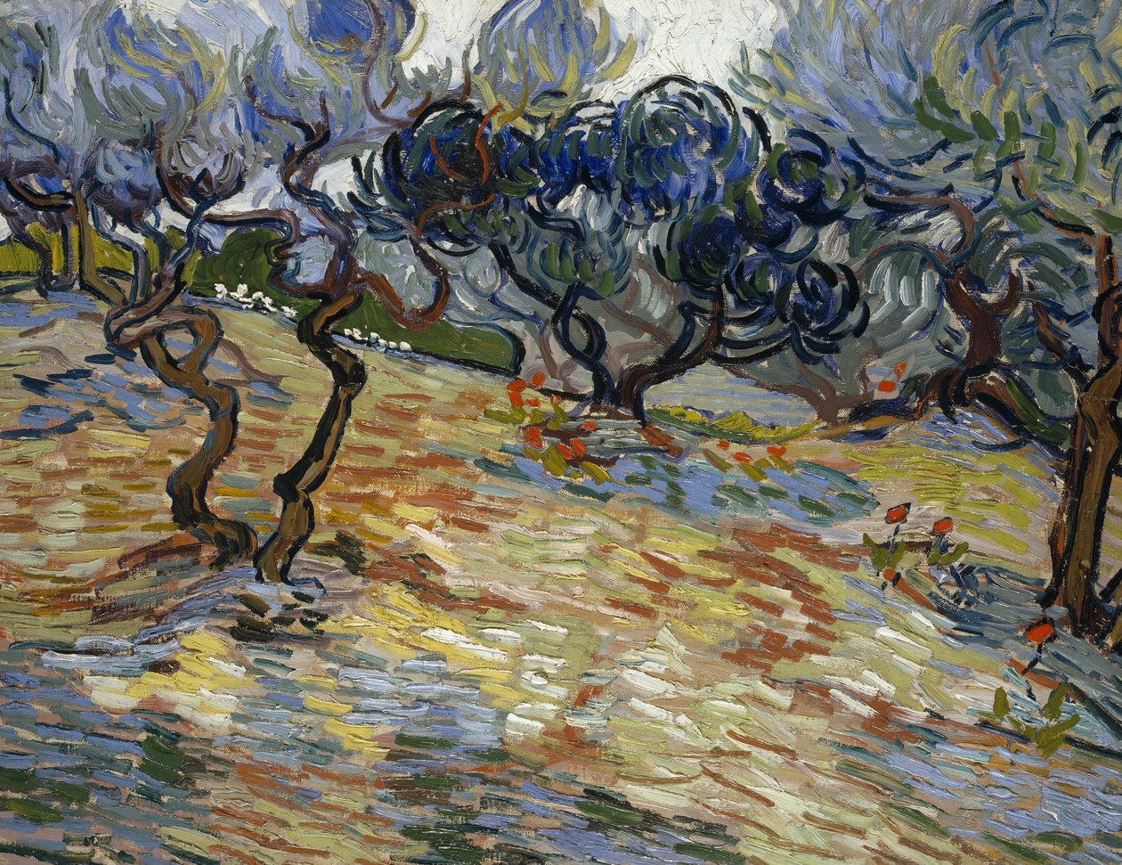 Ulivi: Cielo azzurro brillante da Vincent van Gogh