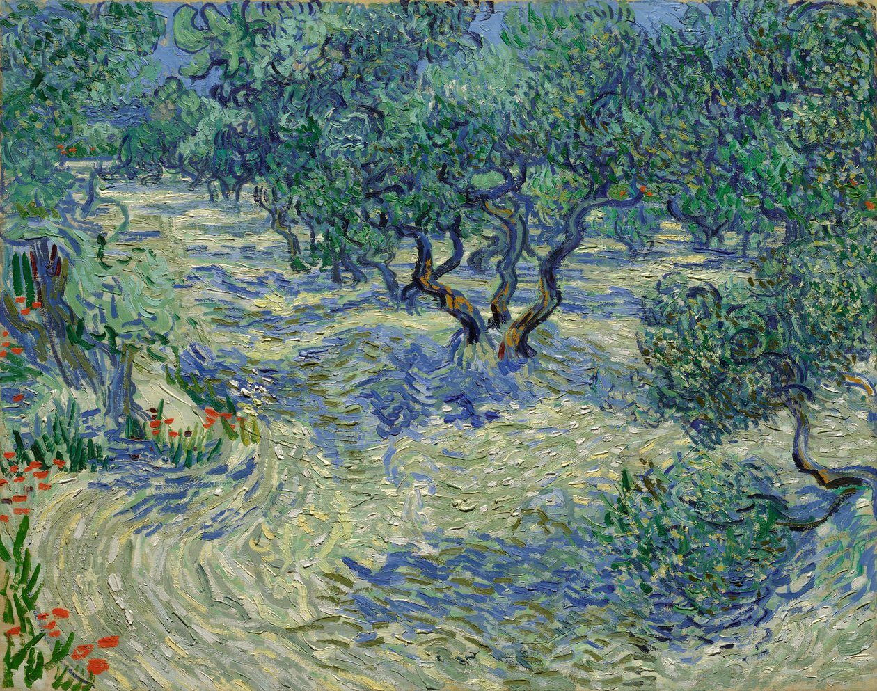 Ulivi / Uliveto da Vincent van Gogh