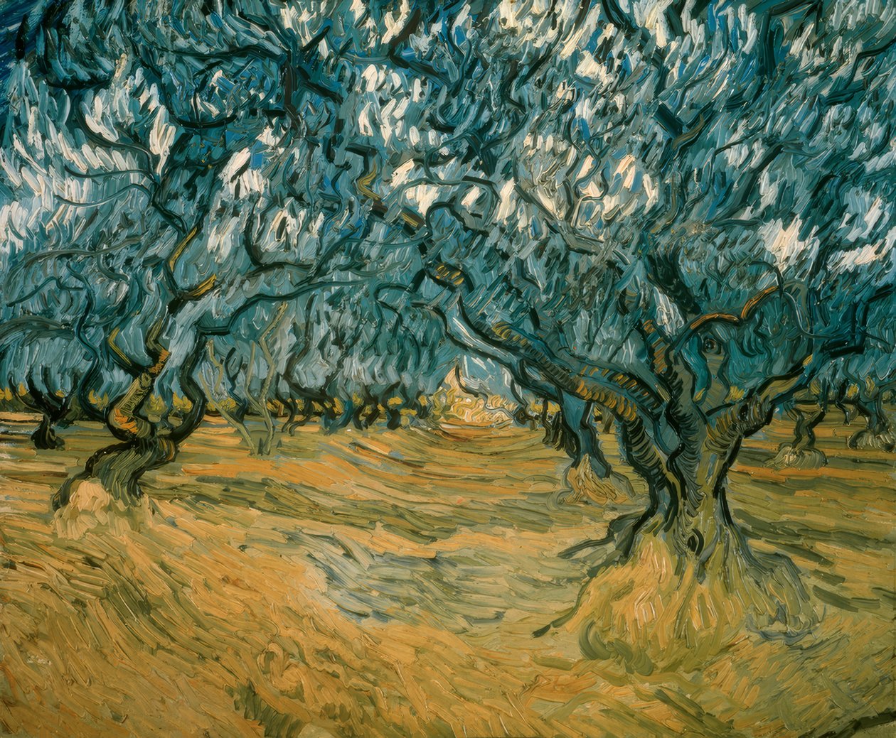 Ulivi da Vincent van Gogh