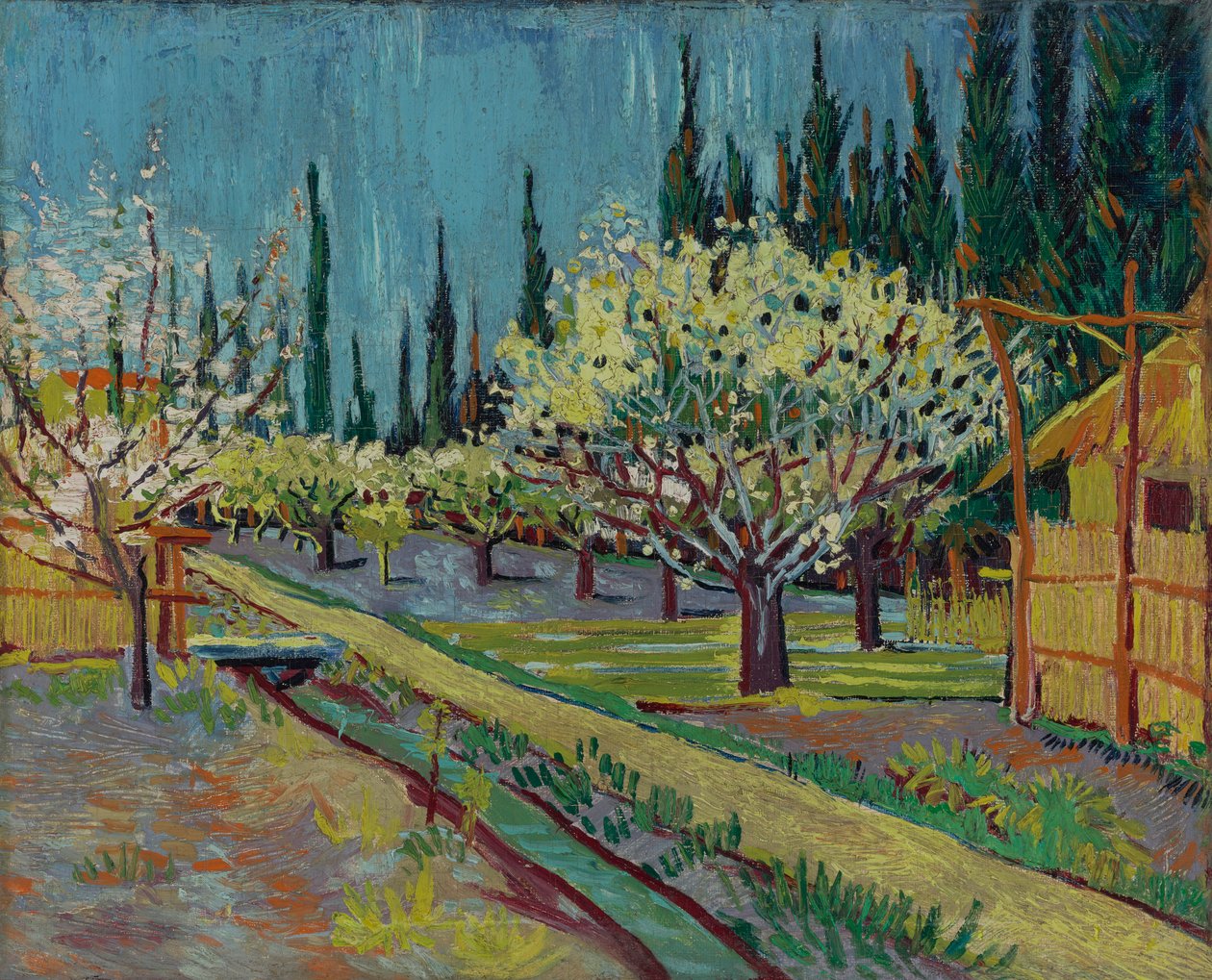Frutteto bordato da cipressi da Vincent van Gogh