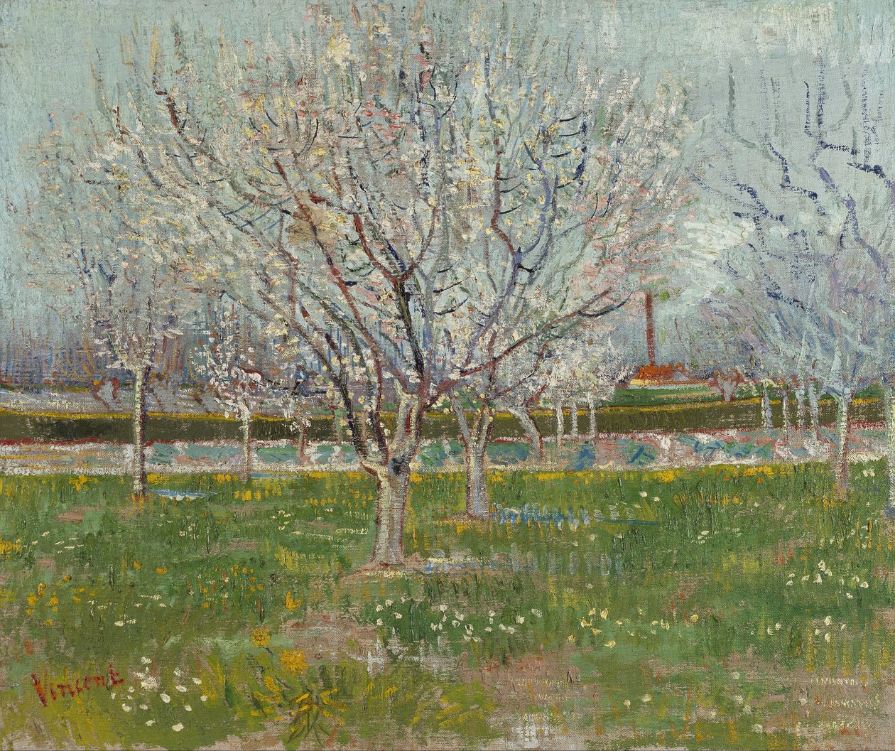 Frutteto in fiore (alberi di prugne) da Vincent van Gogh