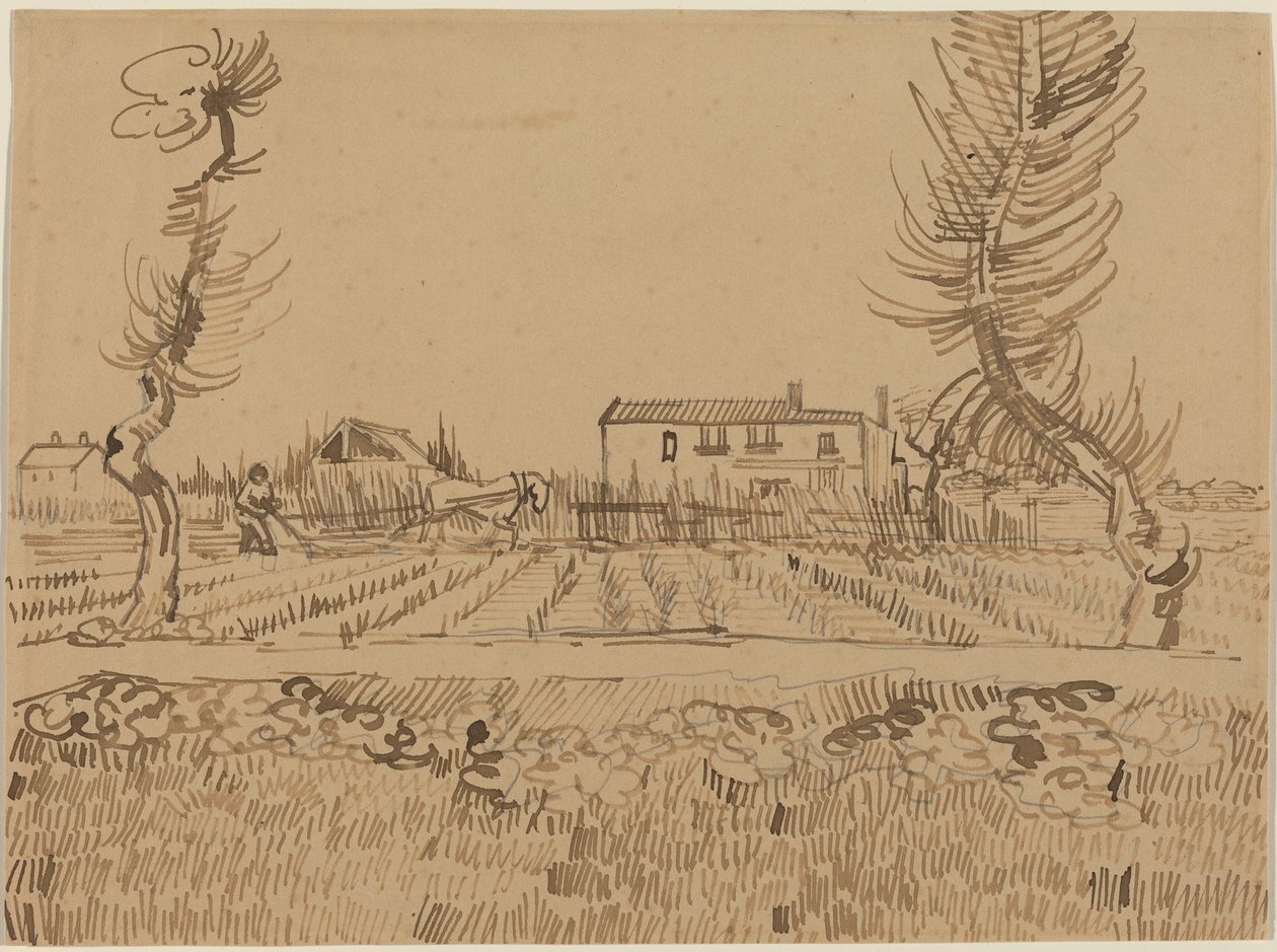 Contadino nei campi vicino ad Arles da Vincent van Gogh