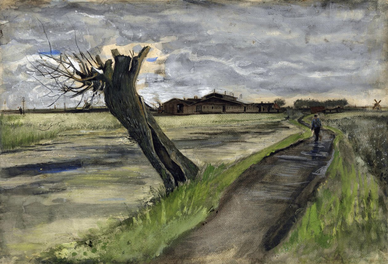 Salice capitozzato da Vincent van Gogh