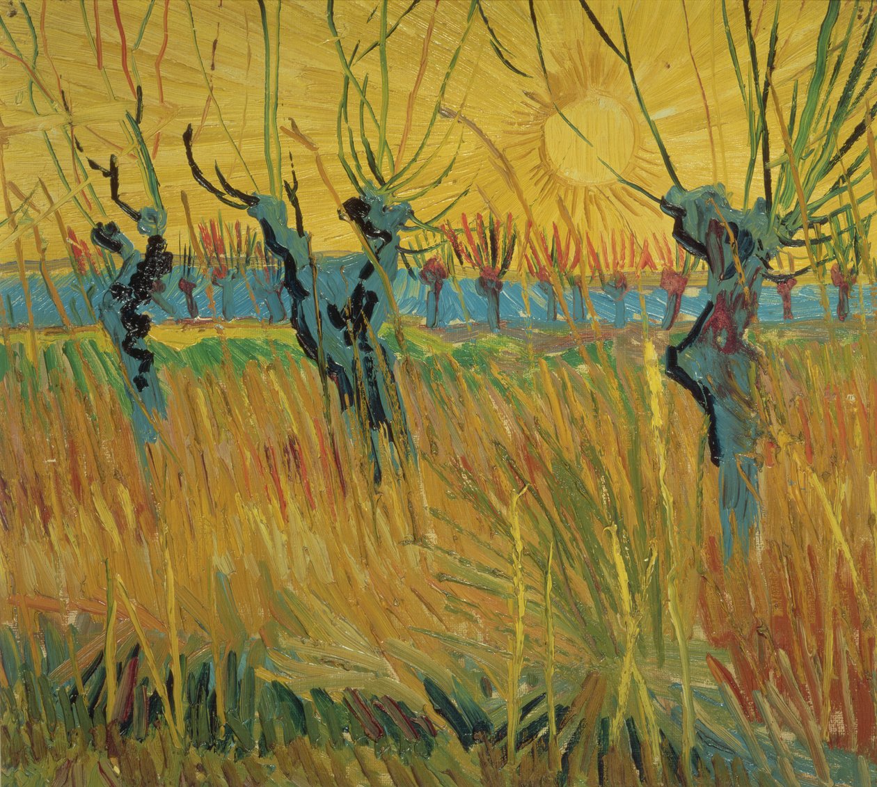 Salici capitozzati e sole al tramonto da Vincent van Gogh
