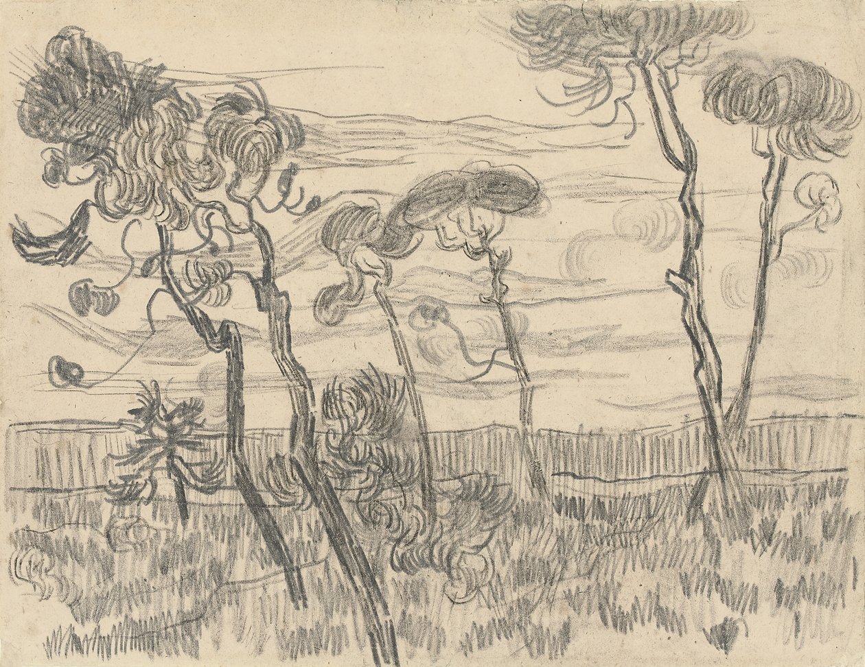 Sei Pini Vicino al Muro di Recinzione, 1899 da Vincent van Gogh