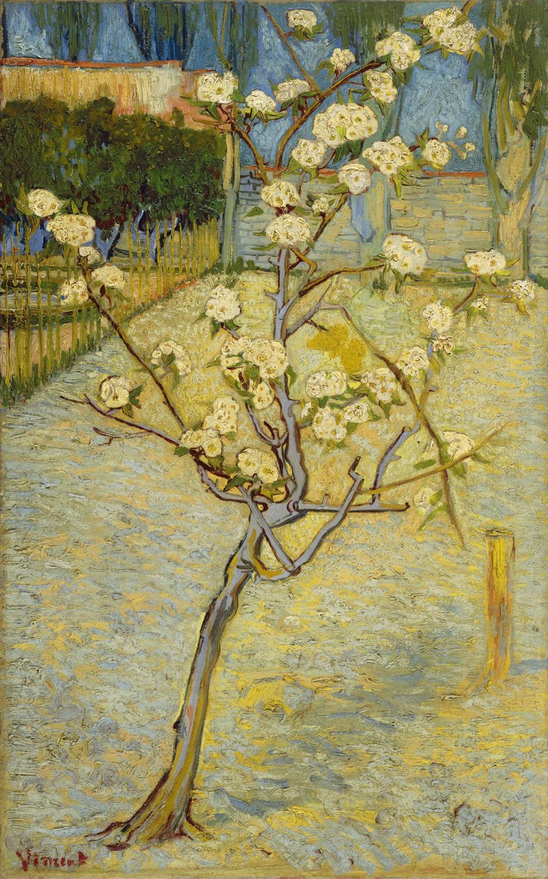 Piccolo pero in fiore da Vincent van Gogh