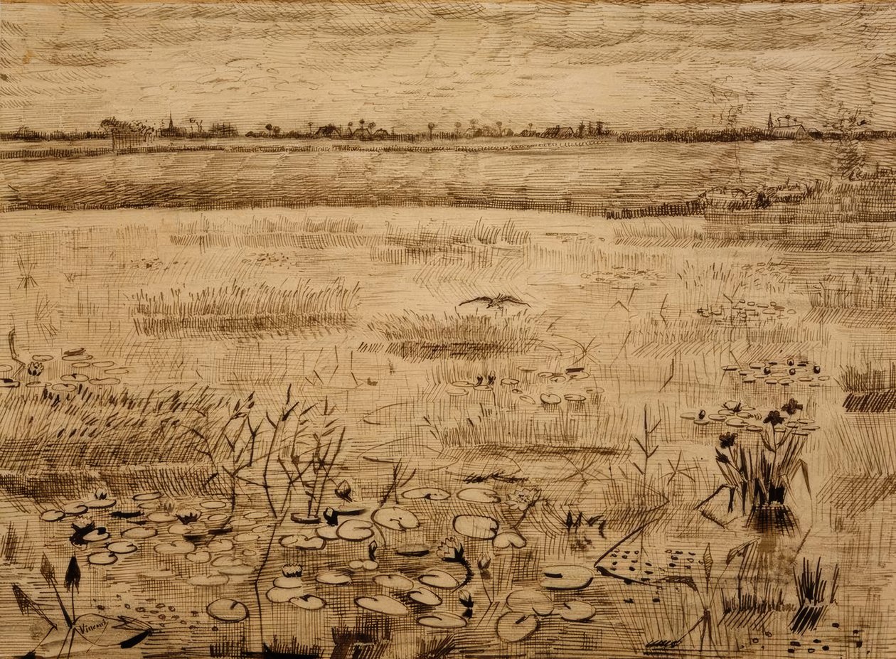 Paesaggio paludoso con ninfee da Vincent van Gogh