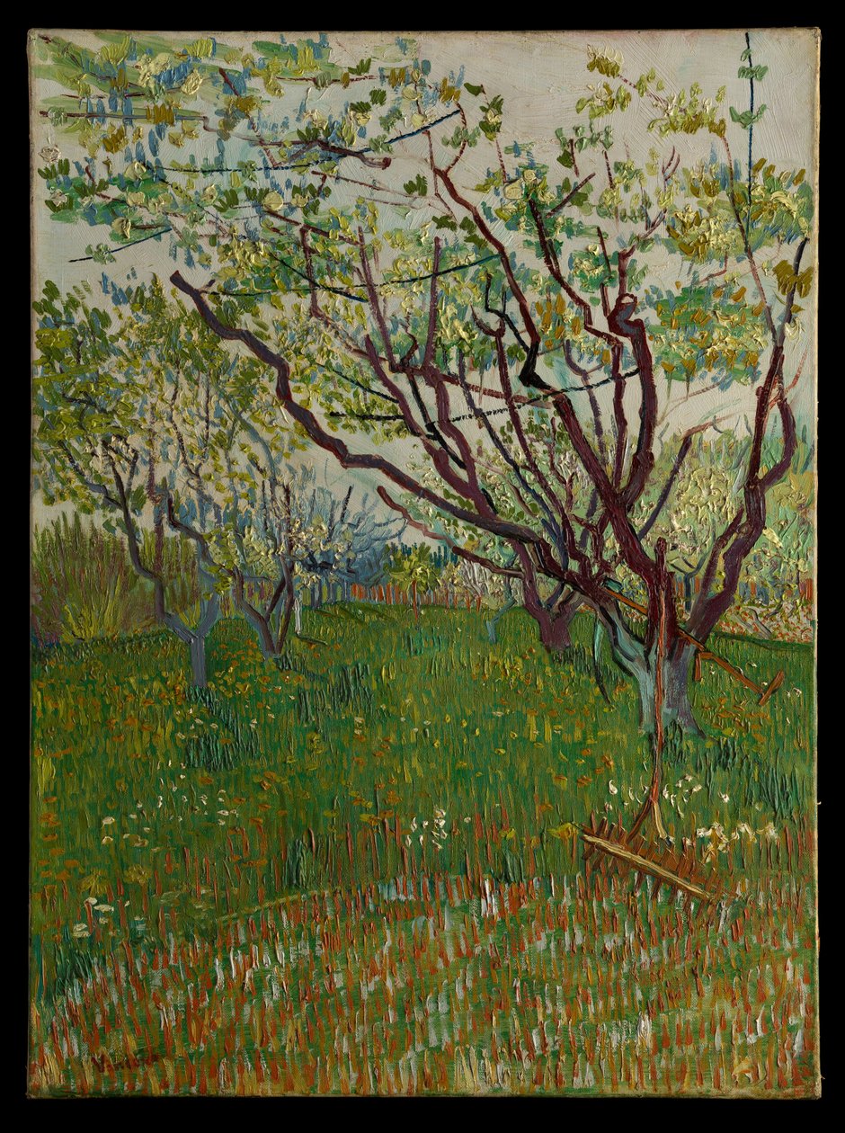 Il frutteto in fiore da Vincent van Gogh