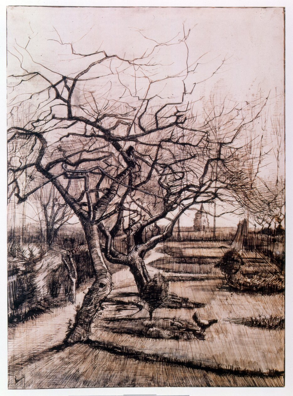 Il giardino del parroco a Nuenen in inverno (1884) da Vincent van Gogh