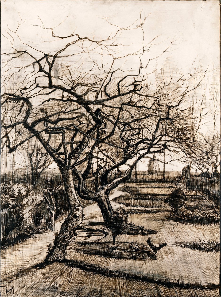 Il giardino della canonica a Nuenen in inverno da Vincent van Gogh