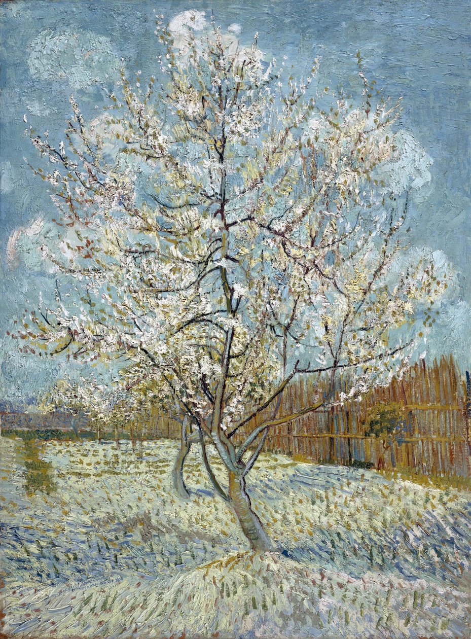 Il Pesco Rosa da Vincent van Gogh