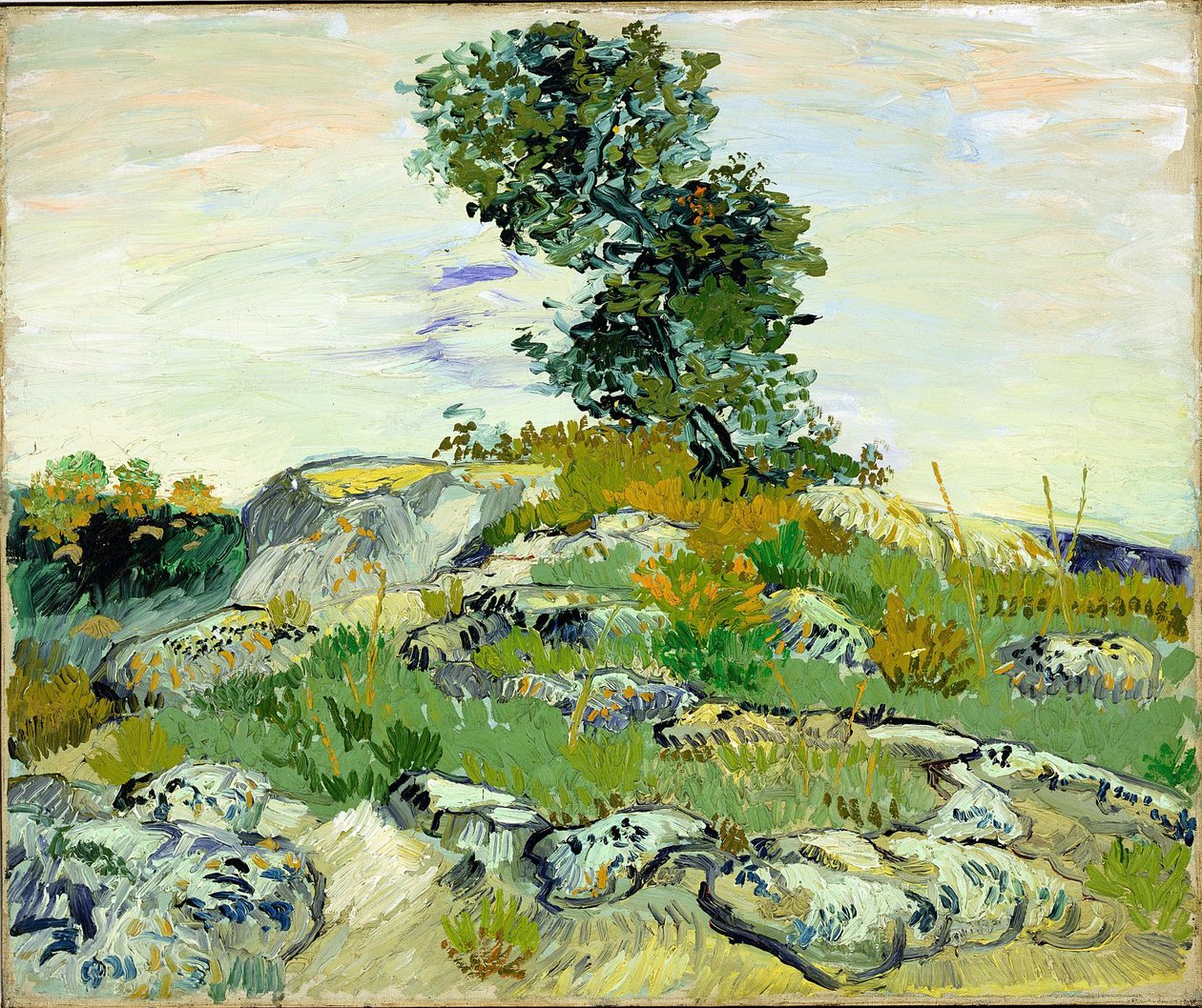 Le rocce da Vincent van Gogh