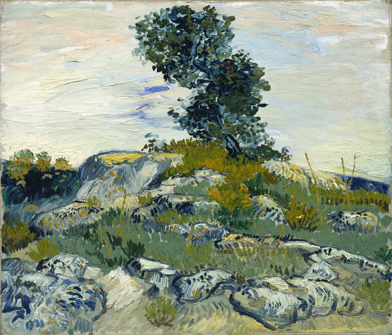 Le rocce / Rocce con quercia da Vincent van Gogh