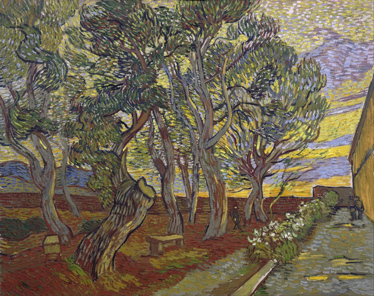 Il giardino dell