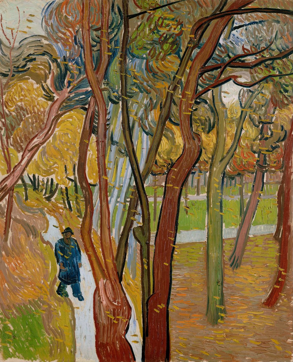 Il giardino dell