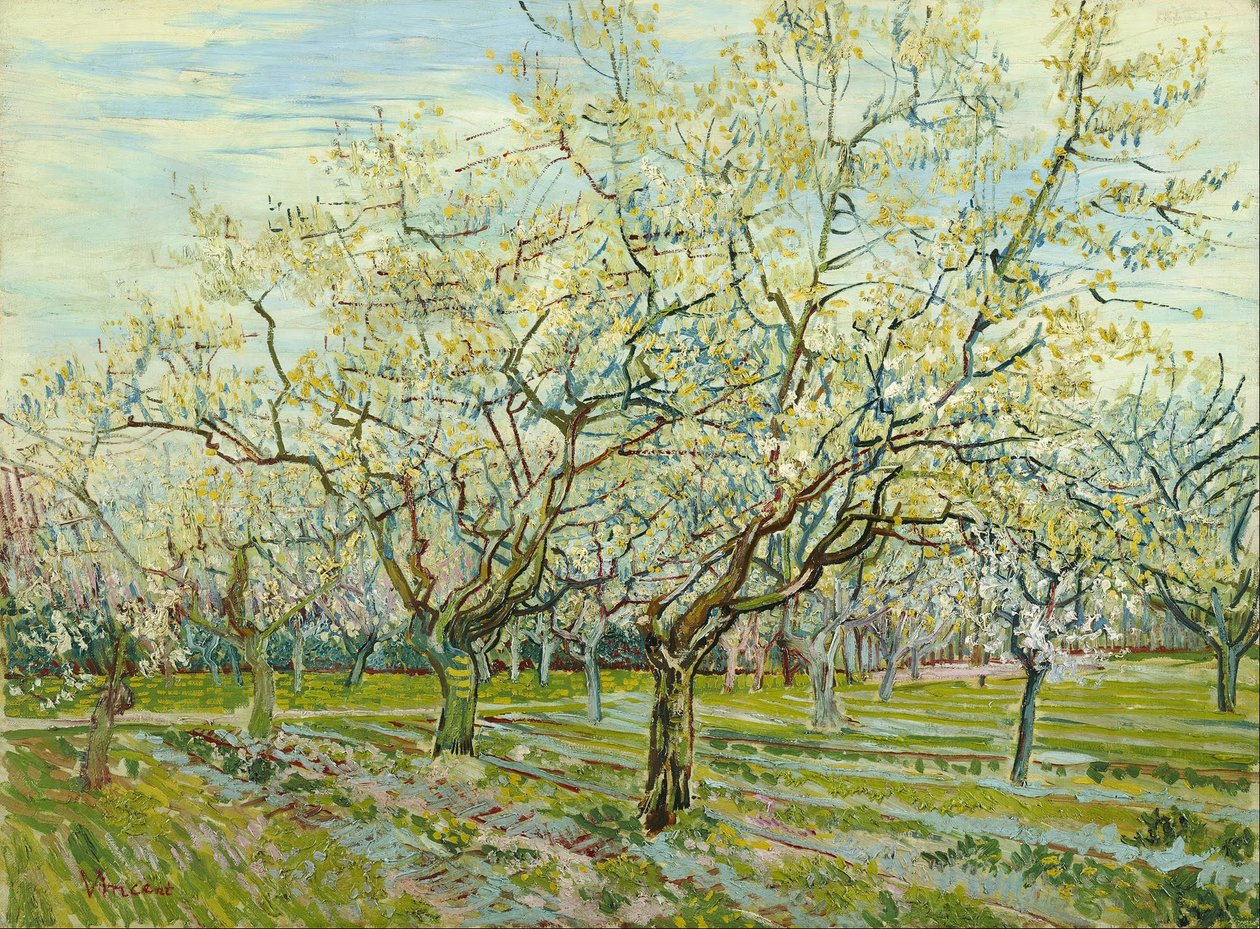 Il frutteto bianco da Vincent van Gogh