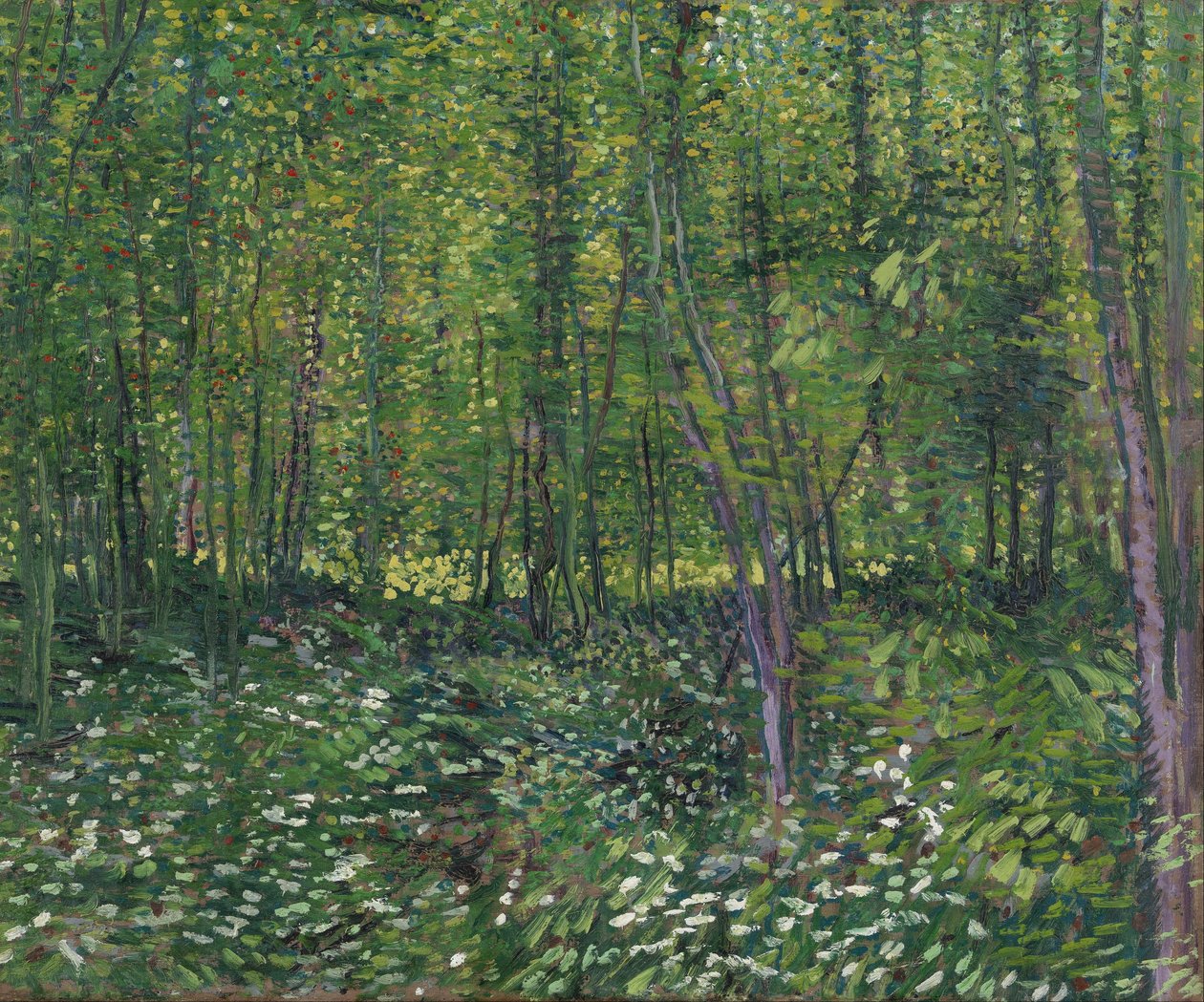 Alberi e sottobosco da Vincent van Gogh