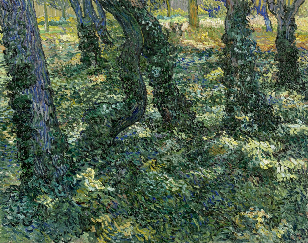 Sottobosco da Vincent van Gogh