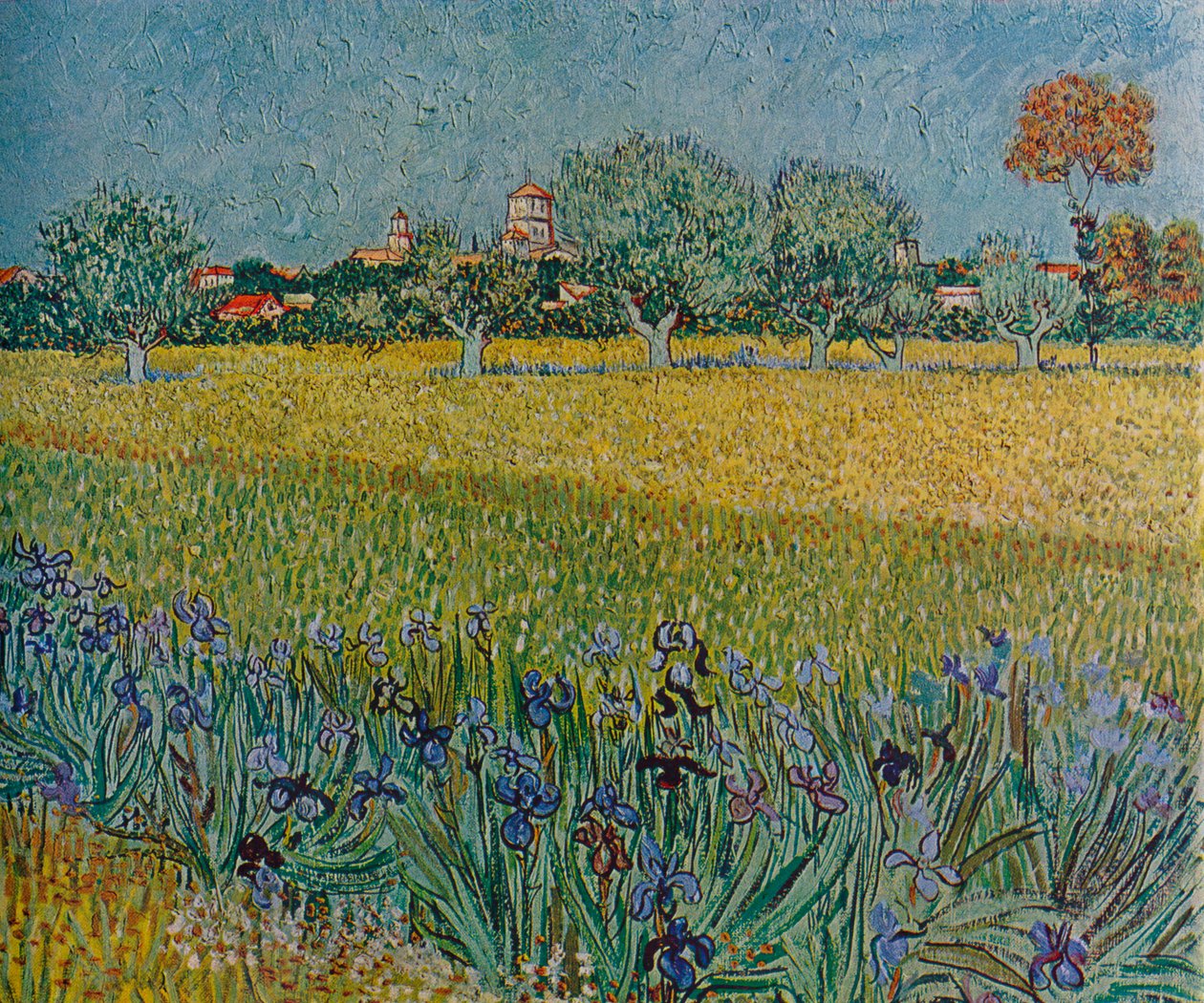 Veduta di Ales con iris in fiore, 1888 da Vincent van Gogh