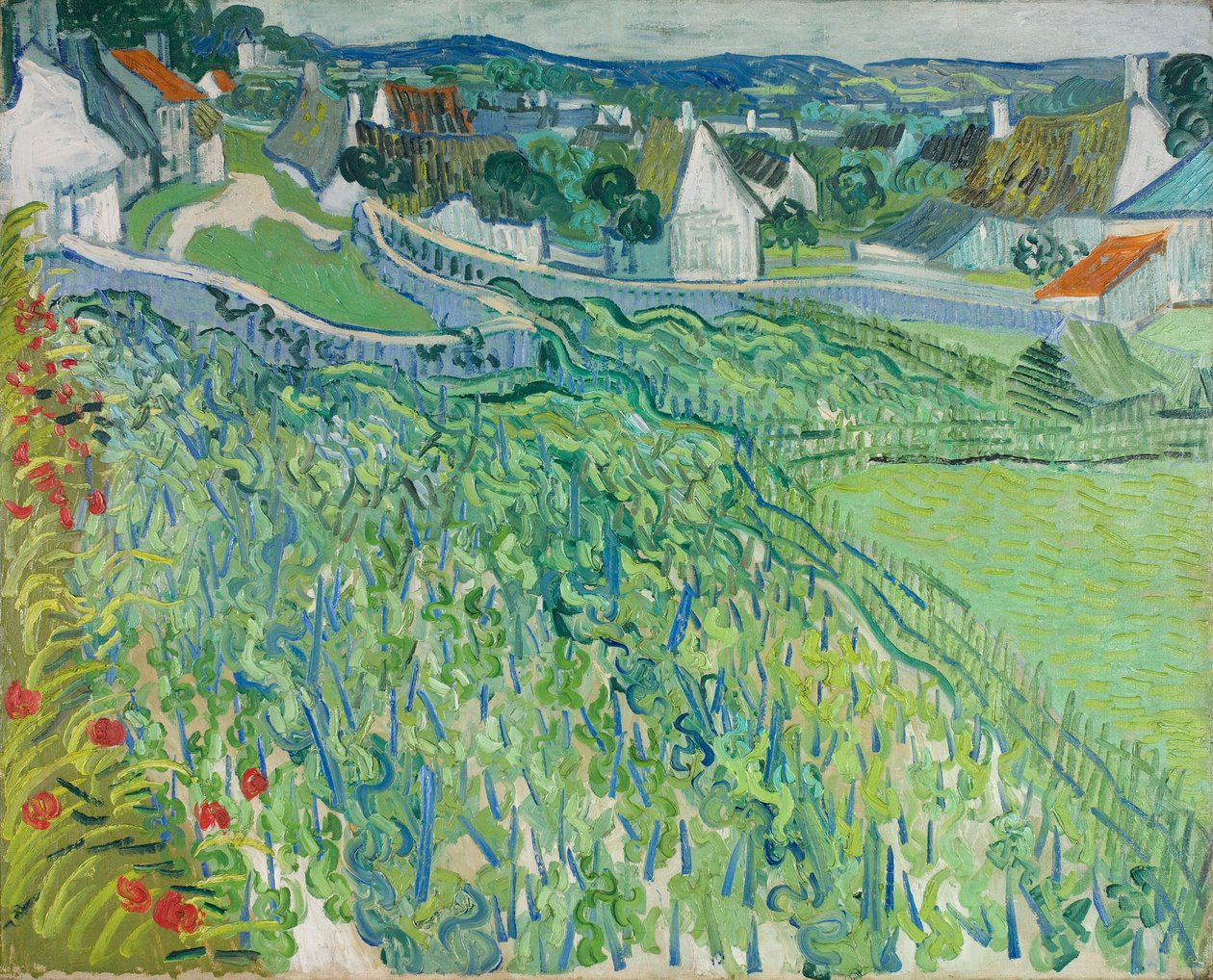 Vigneti di Auvers, giugno 1890 (olio su tela) da Vincent van Gogh
