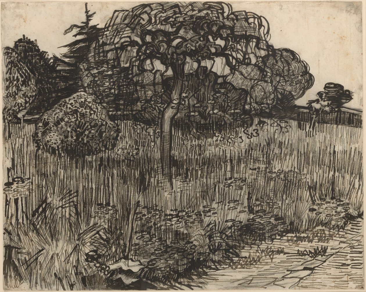 Albero piangente da Vincent van Gogh