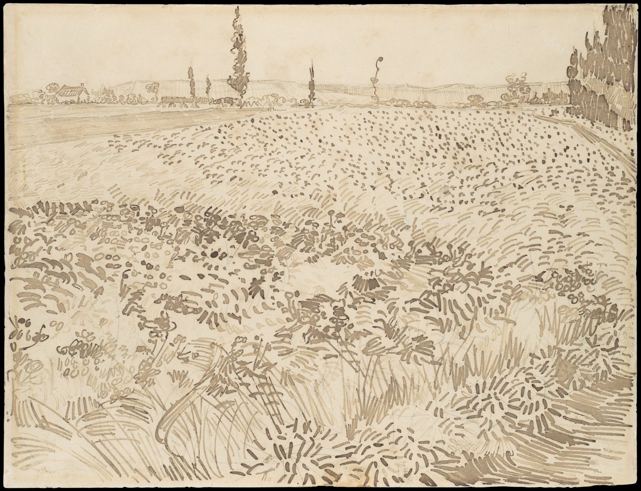 Campo di grano da Vincent van Gogh