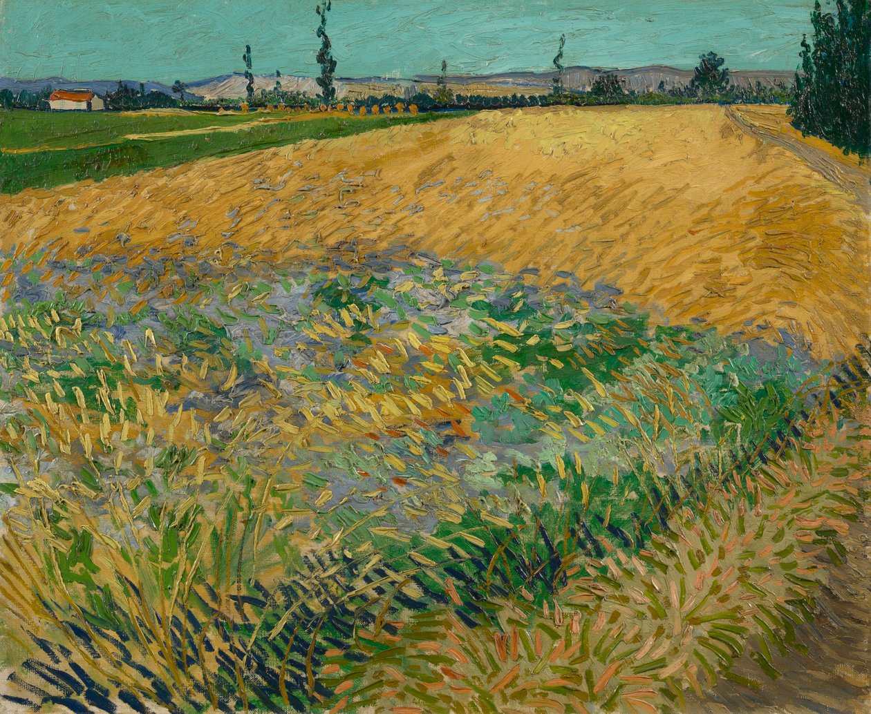 Campo di grano da Vincent van Gogh